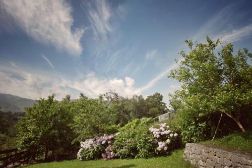 hotel-porrua-vistas-jardin